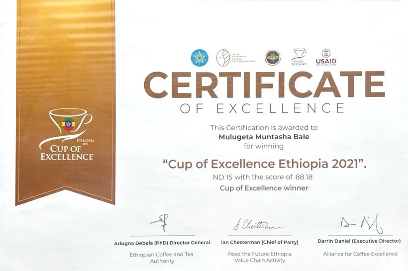 Cup of Excellence Ethiopia 2021 certificate — Mulugeta Muntasha Bale, no. 15, score 88.18.