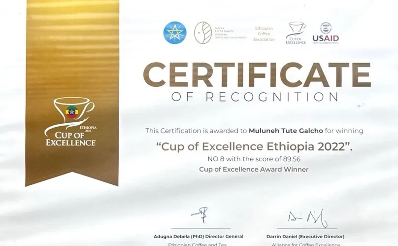 Cup of Excellence Ethiopia 2022 certificate — Muluneh Tute Galcho, no. 8, score 89.56.