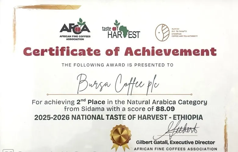African Fine Coffees Association Taste of Harvest 2025–2026 certificate — Bursa Coffee plc, 2nd place, Natural Arabica from Sidama, score 88.09.