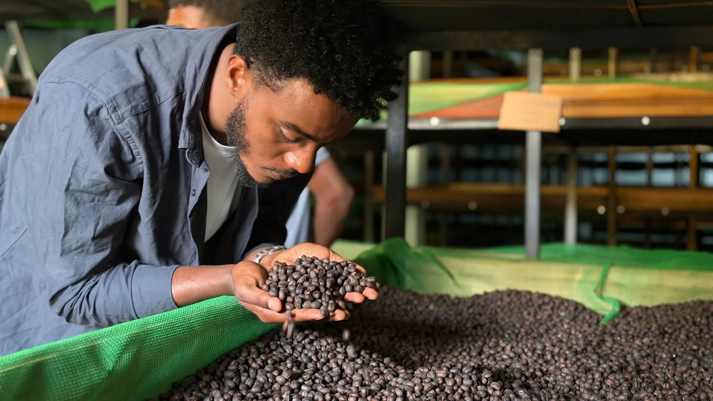 Degefu Mulugeta lifting a handful of dried cherry from a bed inside a ventilated dark room, breathing in the aroma.