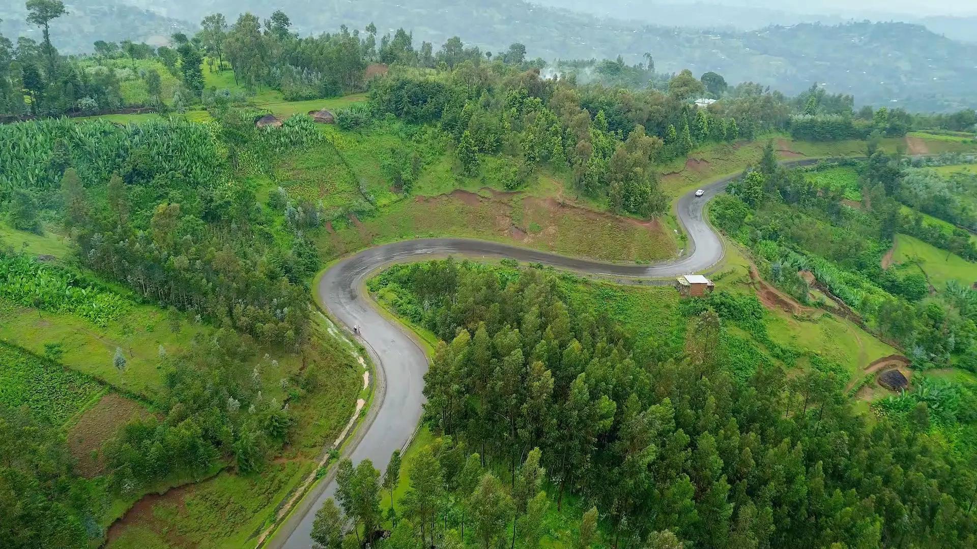 The Sidama highlands above Arbegona from the air: a road winding between forest, banana groves and smallholder plots.