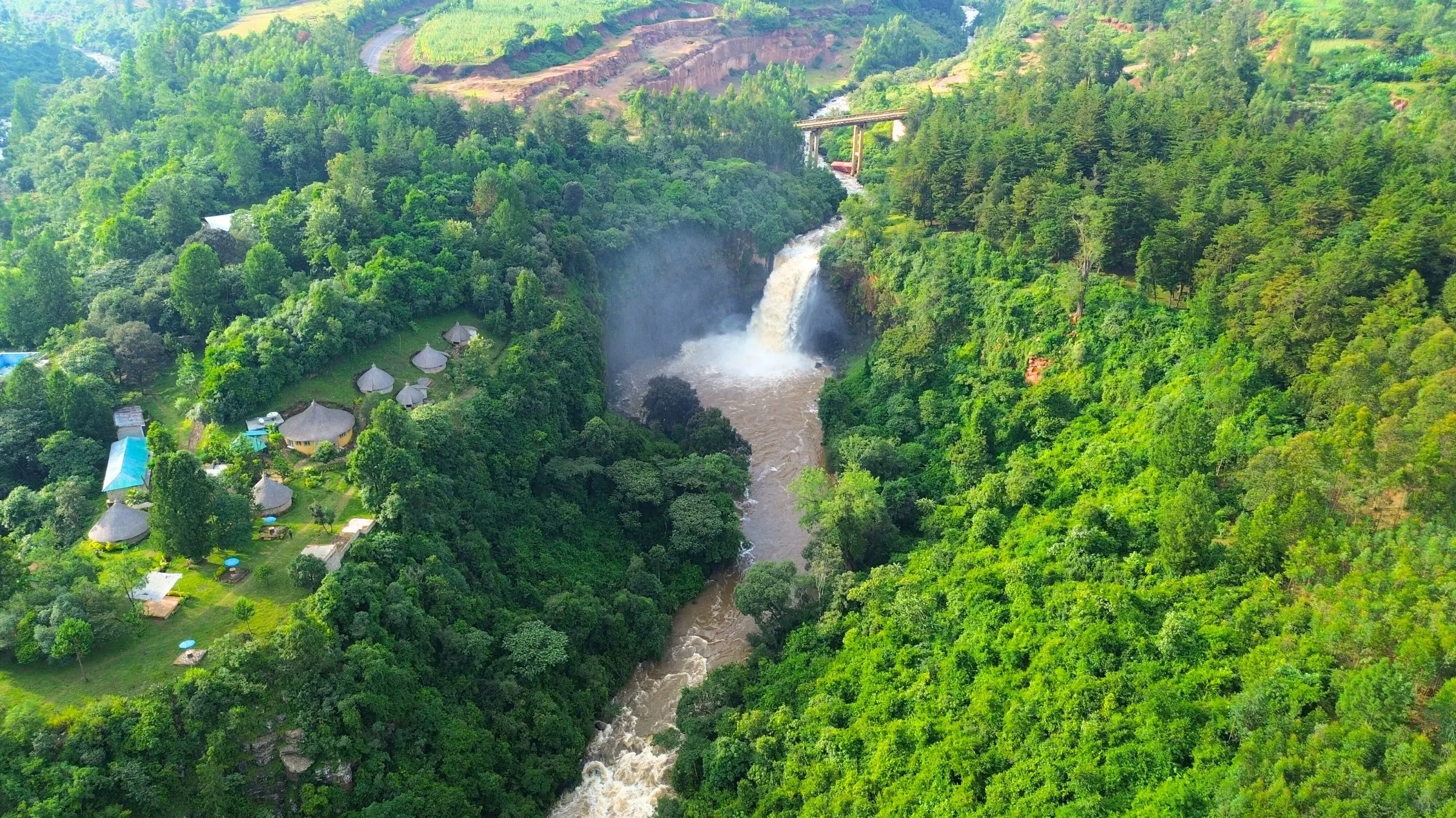 The Sidama highlands above Arbegona, a waterfall falling through dense forest beside the Bursa washing station.